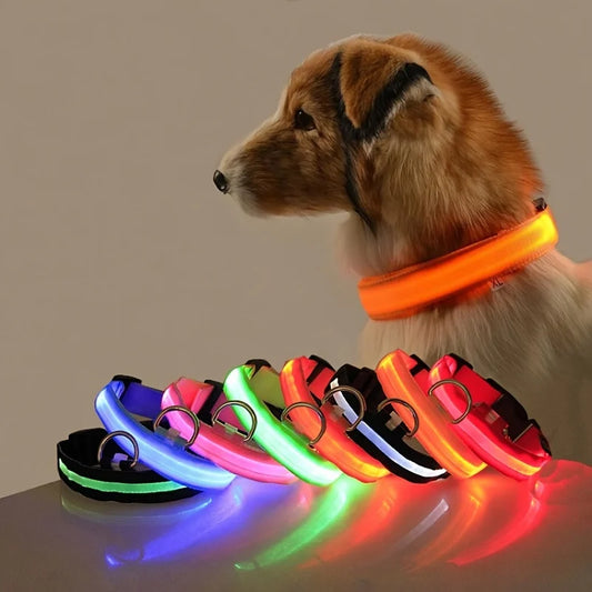 GlowGuard Hundehalsband